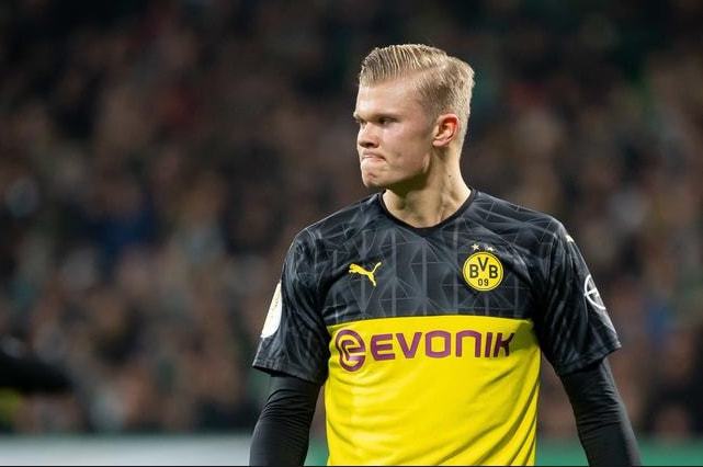 积极引入社 积极引入社