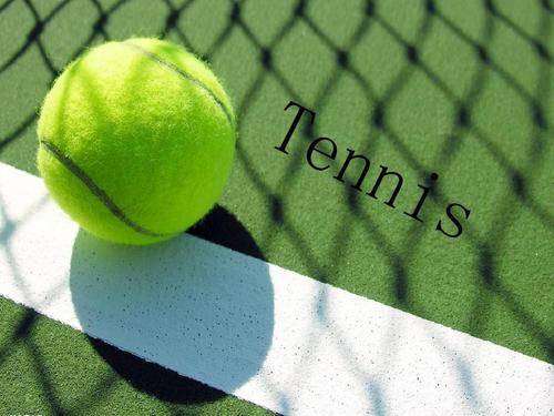 球队的重要 球队的重要